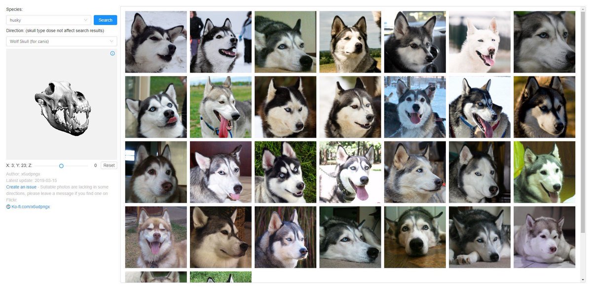 gatchco's tweet photo. おおおおお！？動物の頭蓋骨の向きを動かして、その角度にピッタリのリファレンス画像を表示してくれるサイト！？https://t.co/z6MiQtqPn5

すごい！！！ https://t.co/13gYnvSdOz