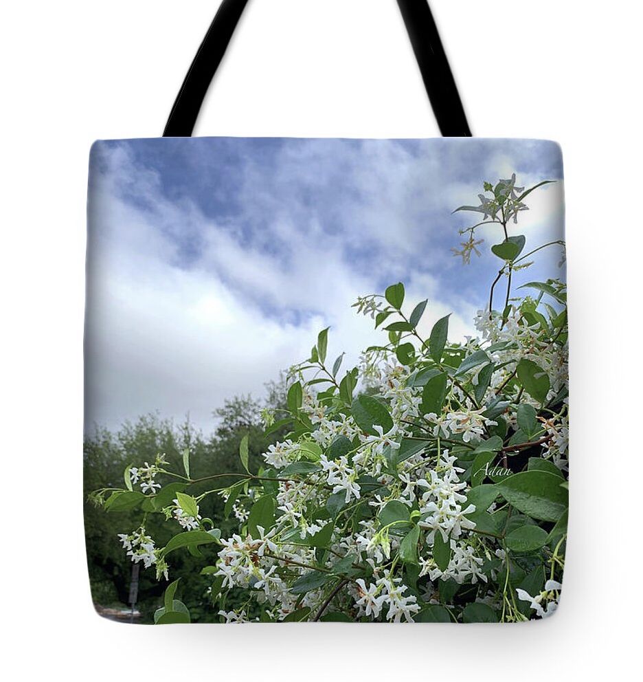 Reaching For The Light - Photography Felipe Adan Lerma https://fineartamerica.com/featured/reaching-for-the-light-felipe-adan-lerma.html

- some images just lend themselves to a variety of gift choices better than others, and that’s certainly true of “Reaching For the Light” :)

#floralpatterns #floralgifts 