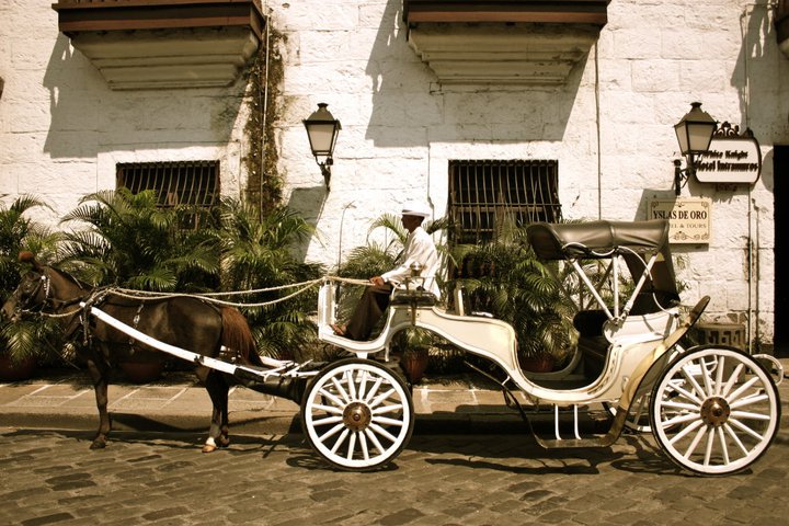 castillantour's tweet photo. Castillan Carriage Victoria, a 5seater capacity with 5units available. Reserve your tour now at @castillantour.

Just click https://t.co/SiCkhThrky to book your tour now.

Like and Share us on https://t.co/DZVqPk1Wzc

#itsmorefuninthecarruaje
#ThingstodoinManila https://t.co/8j9JDoQ3D8