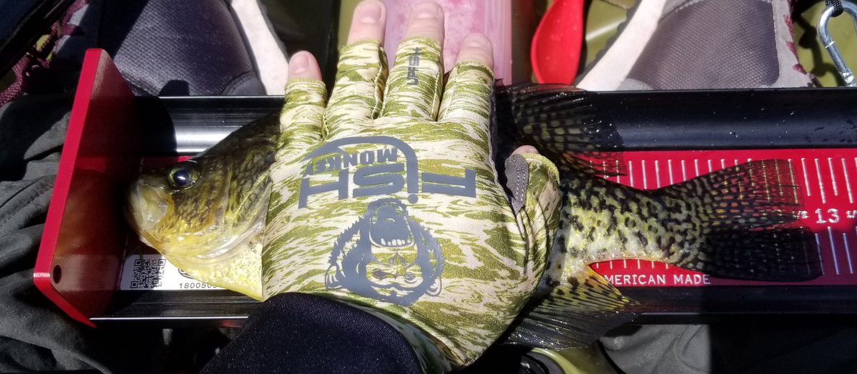 SonsofLibertySV's tweet image. Yesterday I fished the Knockout Series for Massachusetts Kayak Bassin w/RJ alves. It was a rough day but I emerged victorious with 2 bass. @KayakBassFish @RadfishLures @tourneytag @FishMonkeyGear #tourneyx #ketchboard #bananasarmynavy #rockyledgetackle #mgcfishing