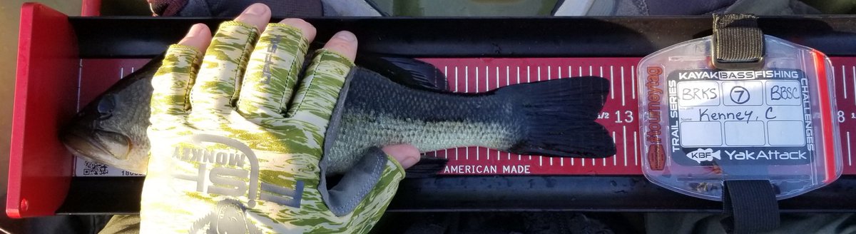 SonsofLibertySV's tweet image. Yesterday I fished the Knockout Series for Massachusetts Kayak Bassin w/RJ alves. It was a rough day but I emerged victorious with 2 bass. @KayakBassFish @RadfishLures @tourneytag @FishMonkeyGear #tourneyx #ketchboard #bananasarmynavy #rockyledgetackle #mgcfishing