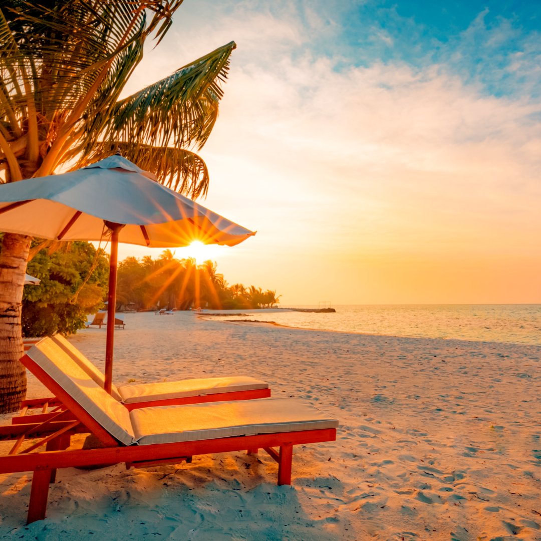 joingopher's tweet image. 📍Tahiti bit.ly/2EEkyq4