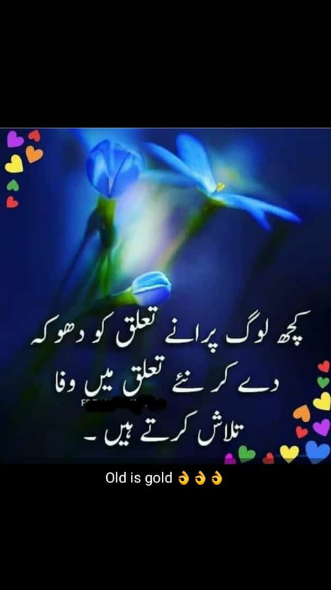 mudassardbs tweet picture