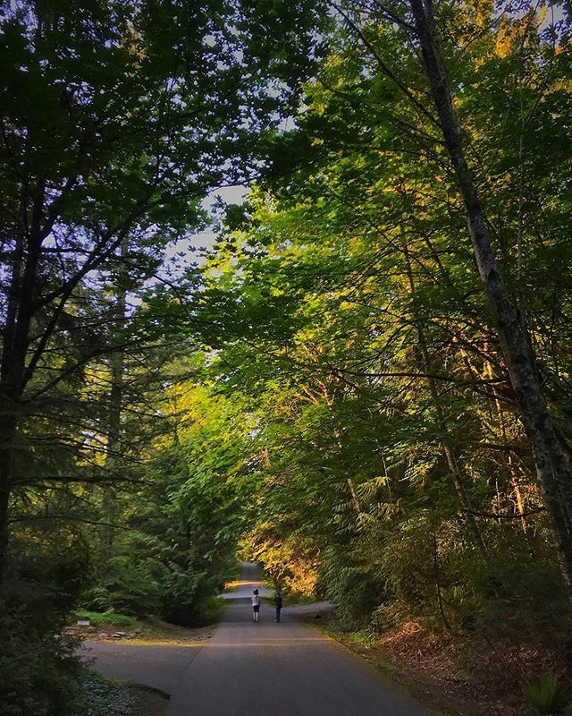 Another day. Another neighborhood stroll. This time with two little people. #gigharbor #lateafternoon #walking #pacificnorthwest #light bit.ly/2H9DL7N