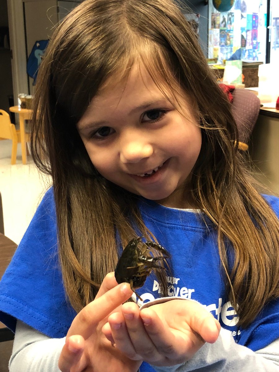heyerlearning's tweet photo. Kindergartners learning about #Macroinvertebrates on #WildernessWednesday with @RPBCWD. #CanIKeepHer #HandsOnLearning #AuthenticLearning #AnimalClassifications #ThisIsSoCool #ItsNotALobster https://t.co/wcNHDVpA0Z