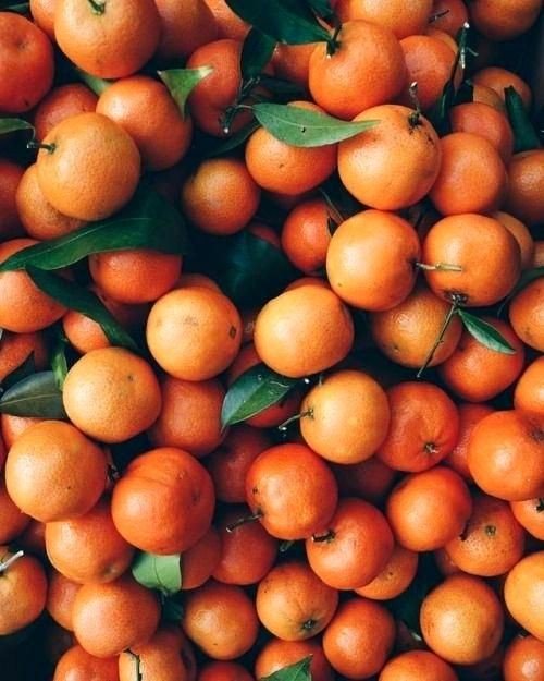 wittyThreads's tweet image. Mιto VS Vᥱrdᥲd 🤔