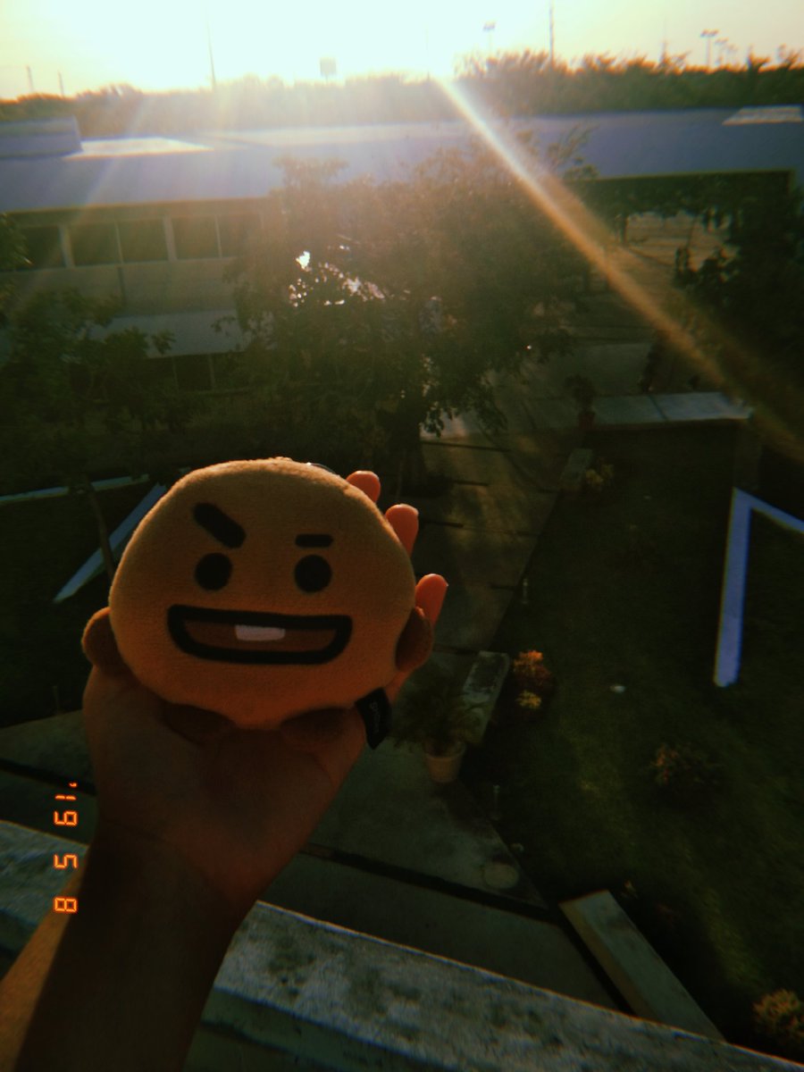 0709fullofstars's tweet photo. Shooky came with me (as always) to school and he was my company during the last day of classes of my BA 😊💜 #WeAreGraduating https://t.co/uN1goAz7hg