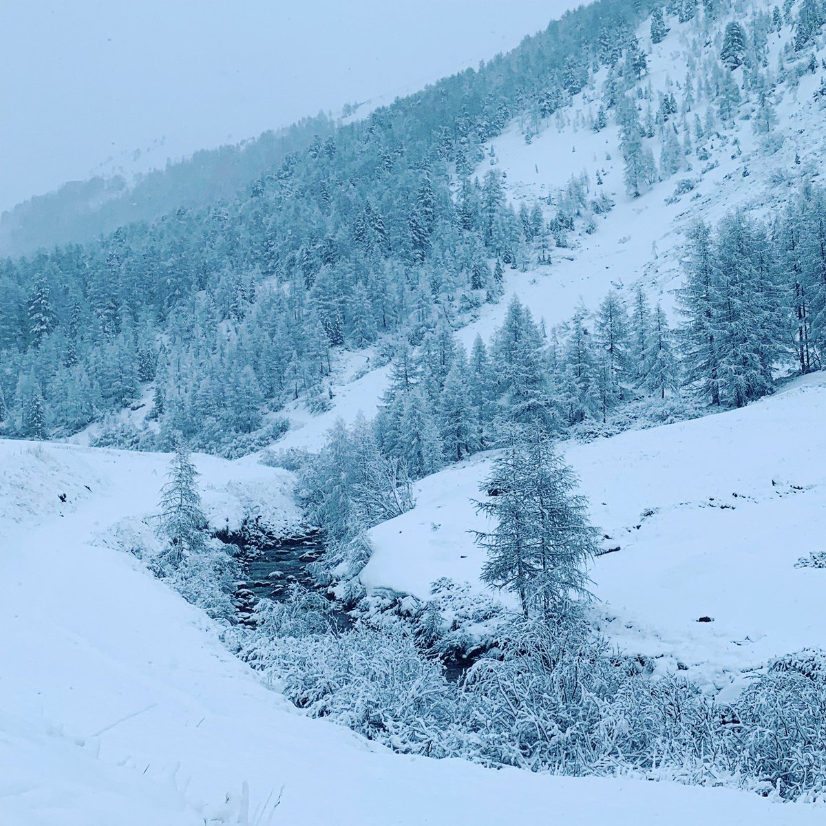 Europe Transfer tweet media