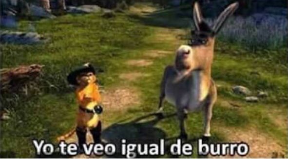 Quesito agrio tweet media