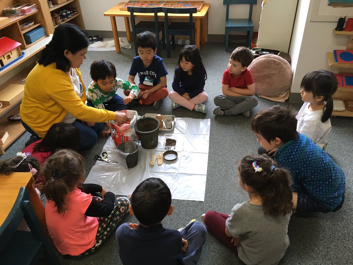 MSTokyoHazel's tweet photo. With the support of Norma’s gardening expertise, we planted mango and papaya seeds! #MSTsunshine #MSTbotany https://t.co/uSVflxDIln
