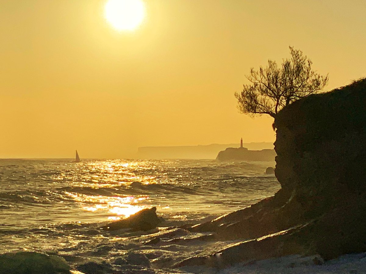 eltomavistas's tweet photo. Buenos días... así se despierta Santander. Un día maravilloso. Feliz día a todos
https://t.co/ikRXg2fwUB https://t.co/00U3RCjZdc