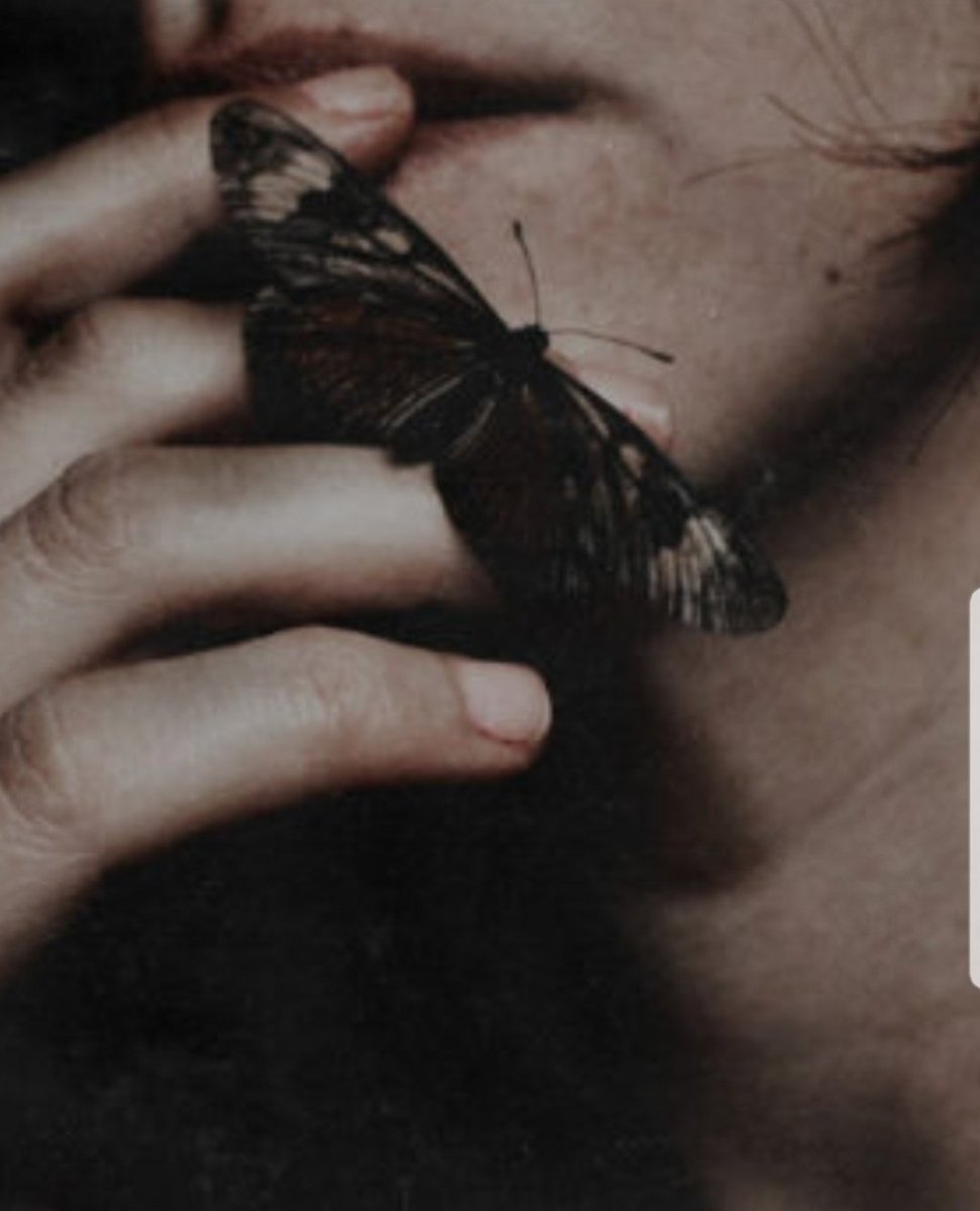 El Nido de Anneke tweet media