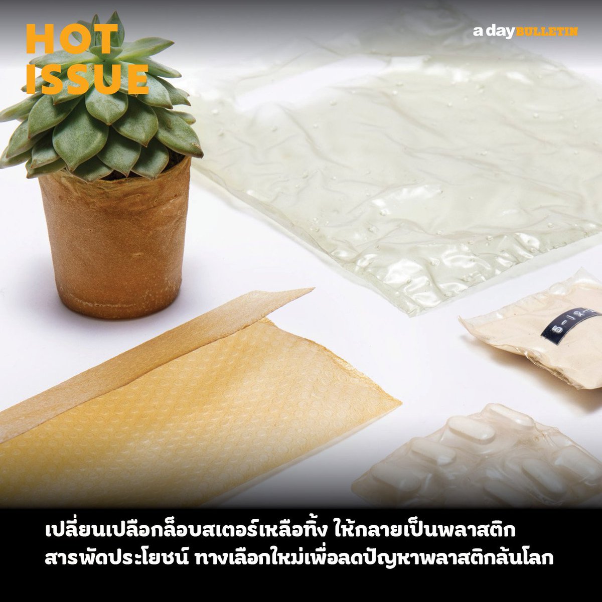 adaybulletin's tweet image. เปลี่ยนเปลือกล็อบสเตอร์เหลือทิ้ง ให้กลายเป็นพลาสติกสารพัดประโยชน์ ทางเลือกใหม่ในอนาคตเพื่อลดปัญหาพลาสติกล้นโลก #adayBULLETIN  #Shellworks 

bit.ly/2vLdOF3