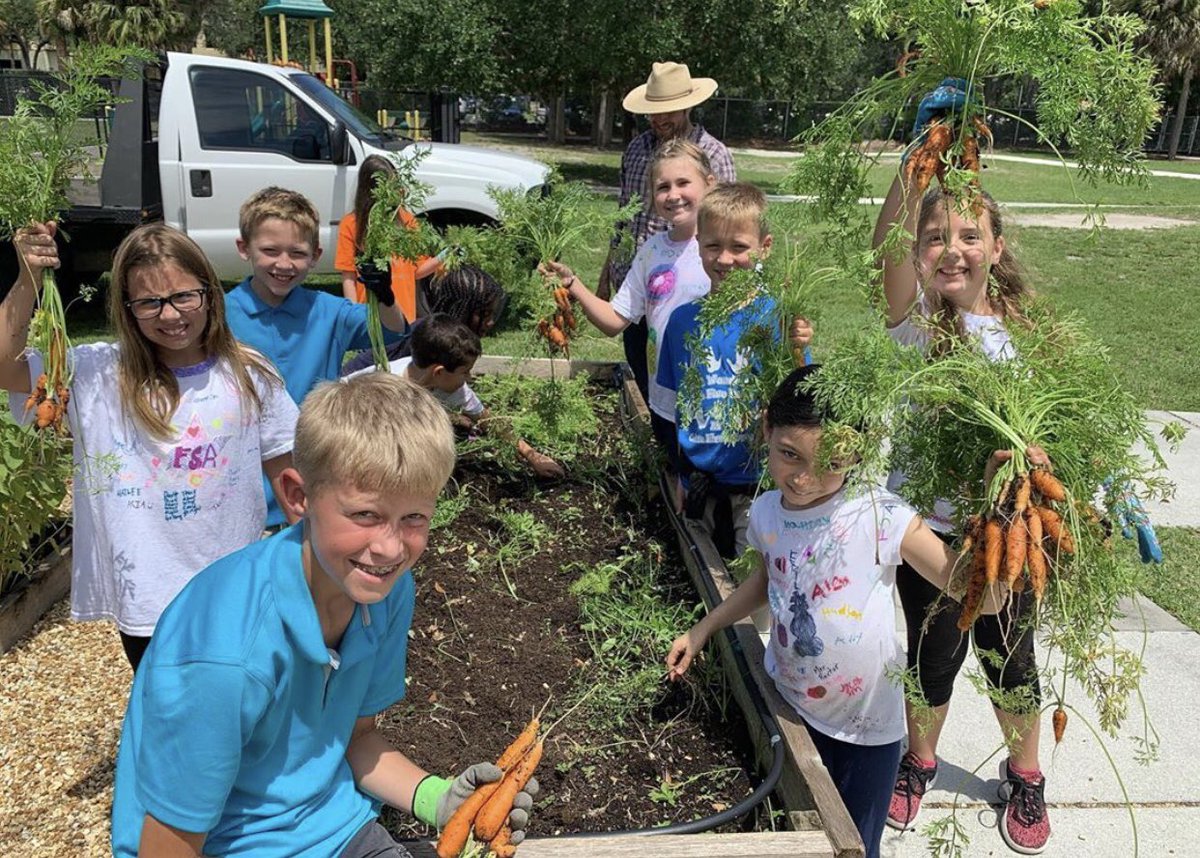 CalusaES's tweet photo. Our Garden Club took care of the garden all year along with Farmer Jay and Ms. Grunberg. Their club produced eggplants, carrots, and so many types of lettuce for our entire school community to enjoy. We appreciate them! @FarmerJay1 @CalusaGreenTeam https://t.co/zt7yMWNS0t