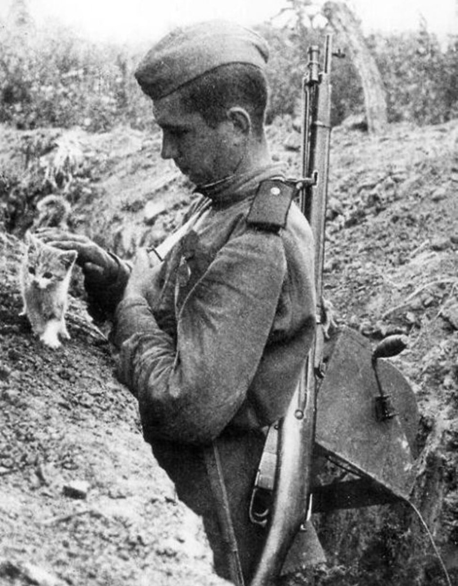 С Днем Победы. Не «примирения», а победы, ради которой погибли миллионы. Не победы отдельных личностей, а общей. Выгнали-догнали-наказали. Несмотря на глупость отдельных высших чинов, несмотря на условия. Не кто-то там «великий», а советский солдат выиграл эту войну. И ему слава.