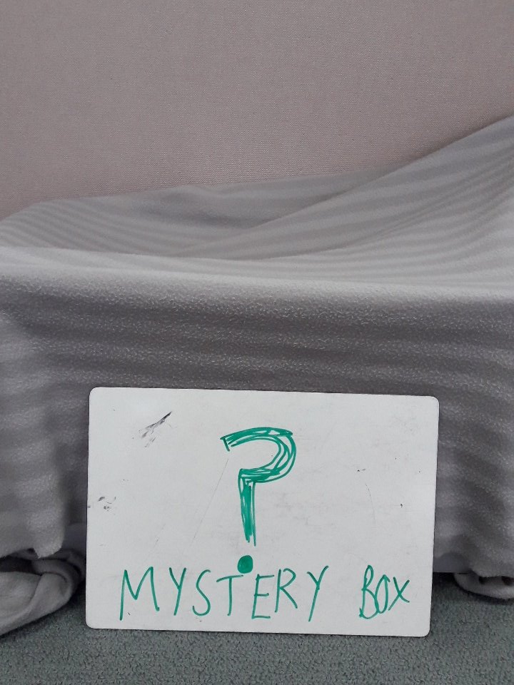 Emma Dusting (@dustingemma) on Twitter photo What is in our mystery box? #tuningin #sharingtheplanet #pyp <a href="/standrewsgv/">St. Andrews GV</a> <a href="/CognitaSchools/">Cognita Schools</a> #year3 What is in our mystery box? #tuningin #sharingtheplanet #pyp <a href="/standrewsgv/">St. Andrews GV</a> <a href="/CognitaSchools/">Cognita Schools</a> #year3