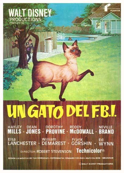 Gerardo Sánchez 🎬 tweet media