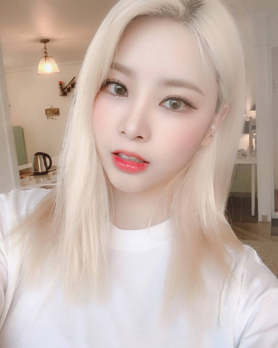 pinkfantasy_kr tweet picture