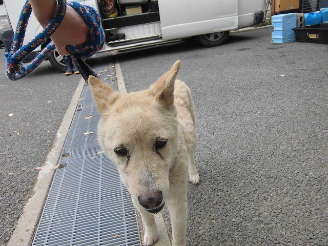 Af A0 E8 B2 E9 A6 96 E8 Twitter Search