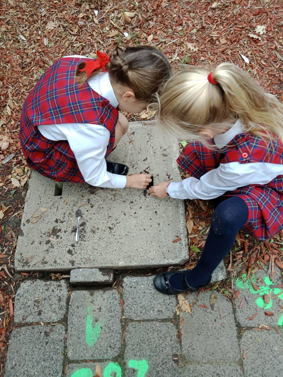 MrsOCinOz1's tweet photo. A wild and windy yard duty. Made #joyful by an #inquiry that reminded me of @kjinquiry and her #TedTalk on the power of um. What is under this concrete? We tested it with our eyes, our ears, our nose and we #hypothesized madly. Clearly, a fairy sewer! #mentoneggspyp #pypchat https://t.co/VGOABCvdCb