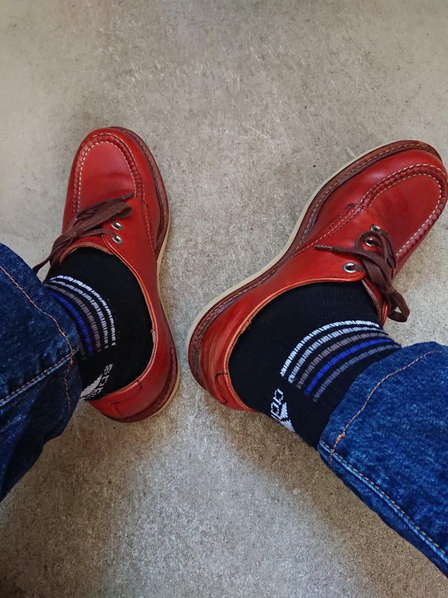 yonechin0123's tweet photo. 本日の夜勤の相方はこやつでv(・∀・*)
だんだんoxfordの季節になってきましたね～(*・∀・*)ノ

#REDWING
#REDWING8103 https://t.co/1TpvaNdJgv