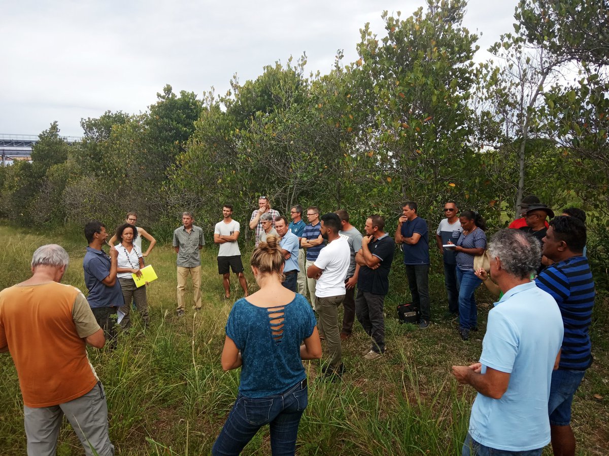 RachelArmeflhor's tweet photo. La journée de Mardi a encore été très riche en échanges et discussions. Le deuxième atelier de co-conception de #SdCi dans le cadre du @Dephy_Ecophyto #EXPE #ST0P s'est déroulé cette fois au @Cirad Réunion. Bientôt le 3e sur le site de #ARMEFLHOR https://t.co/mOMwIzCakc