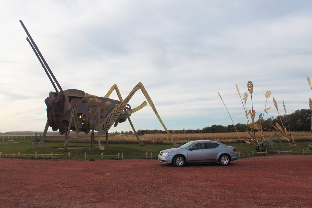 GreatAmWest's tweet photo. Get your fill of quirky roadside art 🎨 #GreatAmericanWest
📍 Enchanted Highway, North Dakota, USA
📷 @NorthDakota #NDLegendary #NorthDakota https://t.co/rQoeoV5zHz