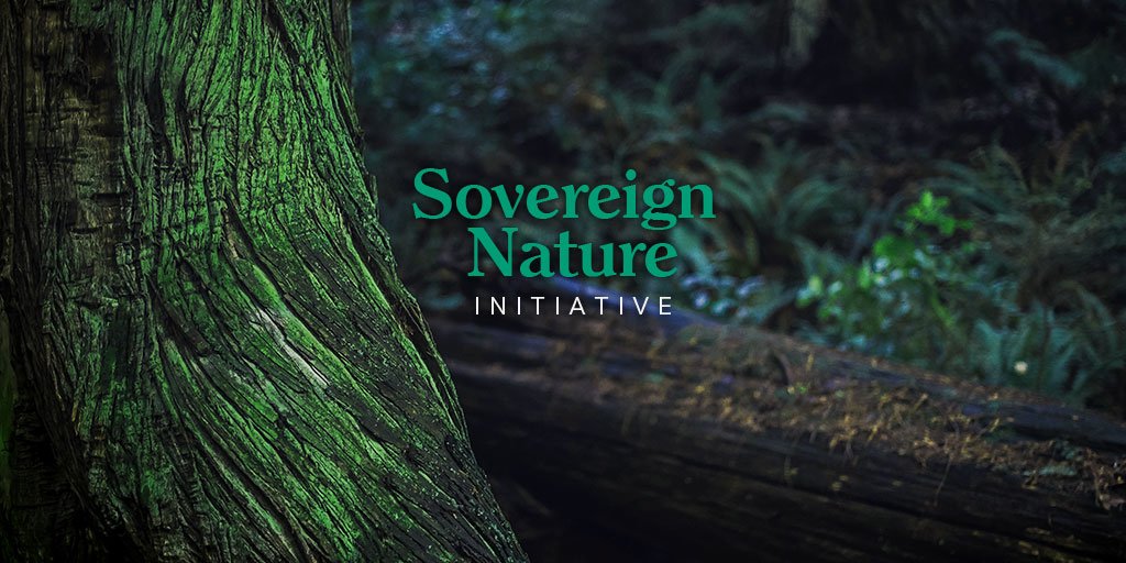 eventhorizonx's tweet image. Experience #EH Sovereign @Nature2_0 Exhibit, featuring Primavera De Filippi (@yaoeo), @keikreutler @_terra0 in coop. with G. Hansford &amp;amp; L. Center, @DezentrumCH:
Can a sculpture act autonomously? Can a forest own itself?
Find out more at: eventhorizonsummit.com/tickets