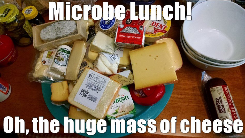 GermJuggler's tweet photo. Today's the day! #MicrobeLunch! Join us at noon in 110 Schrenk #DrDavesDeliciousDiminutiveDelicacies #LimburgerChallenge #BioSci3313 @MissouriSandT https://t.co/d4835R4Yr7