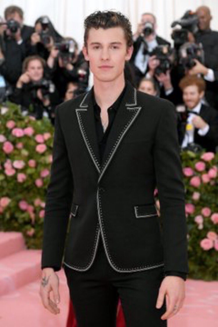 Shawn Mendes France tweet media