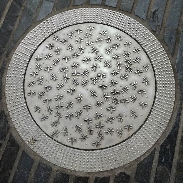 Tokyo drain covers are cool
#draincover 
#dragonfly
#tokyo
.
#beautiful #followme #art #instadaily #style 
#instalike #igers #tagsforlikes #amazing #photography
#lifestyle #inspiration #chill #ambient #moment
#photooftheday #picoftheday #instacool #fstoppers #composition 
#e…