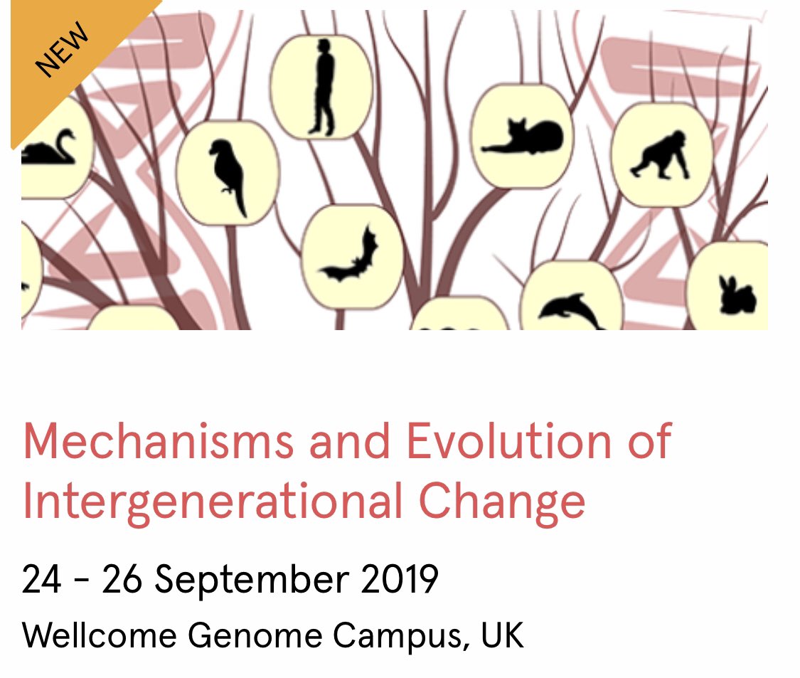 DrPaulaBrunton's tweet image. Interested in #DevelopmentalProgramming ? Then check out this new conference myself, @ben_dantzer @BurtonNick &amp;amp; Jennifer Brisson are organising with @ACSCevents #IntergenChange19 For speakers &amp;amp; more info see: …dconferences.wellcomegenomecampus.org/our-events/mec…