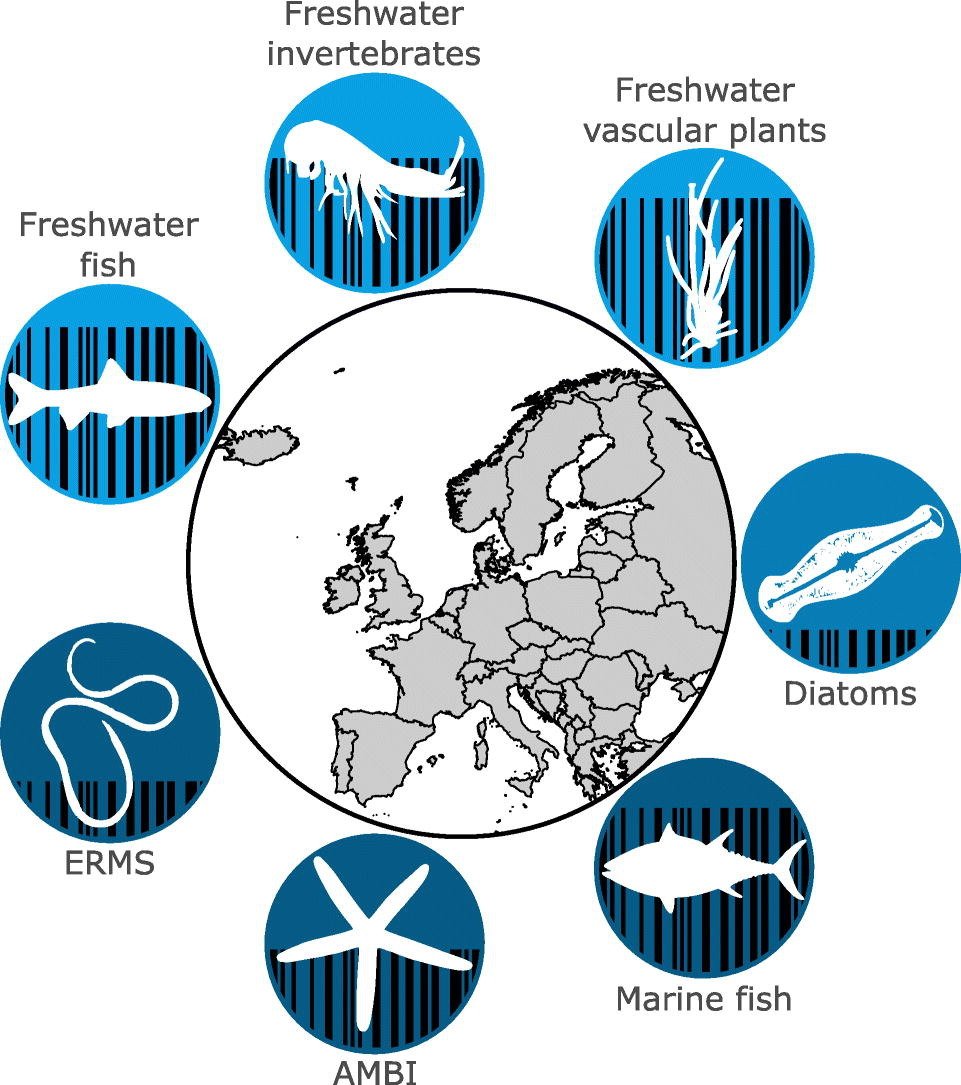 NorBOL (@norwbol) on Twitter photo DNA barcode reference libraries for the monitoring of aquatic biota in Europe: Gap-analysis and recommendations for future work. Our <a href="/DNAquaNet/">COST Action CA15219</a> paper is now published and #openaccess. sciencedirect.com/science/articl… DNA barcode reference libraries for the monitoring of aquatic biota in Europe: Gap-analysis and recommendations for future work. Our <a href="/DNAquaNet/">COST Action CA15219</a> paper is now published and #openaccess. sciencedirect.com/science/articl…