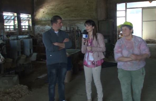 TgrRaiMolise's tweet photo. #agricoltura #zootecnia Le difficoltà del settore lattiero-caseario; il crollo della domanda di #latte in #Italia e in #Molise. Siamo entrati in un'azienda di #Limosano Appuntamento a #BuongiornoRegione @TgrMolise #IoSeguoTgr @TgrRai @maurocarafa31 @coldiretti @Cia_Agricoltura https://t.co/bBWlmqkmcP
