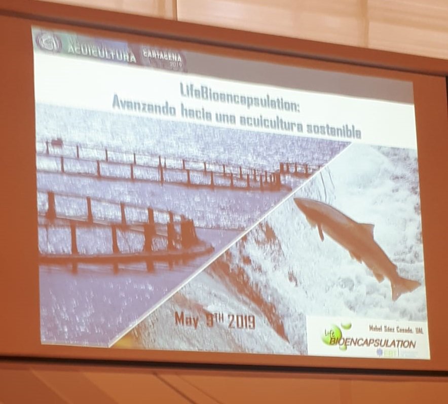ClusterAcuiplus's tweet photo. Y ahora es el turno de los socios de @ClusterAcuiplus: María Isabel Sáez de #Lifebioencapsulation nos habla sobre cómo avanzar hacia una acuicultura sostenible en base a un modelo de #EconomíaCircular.
#Sustainability #AcuiculturaSostenible #CircularEconomy https://t.co/BeXpi12qwy