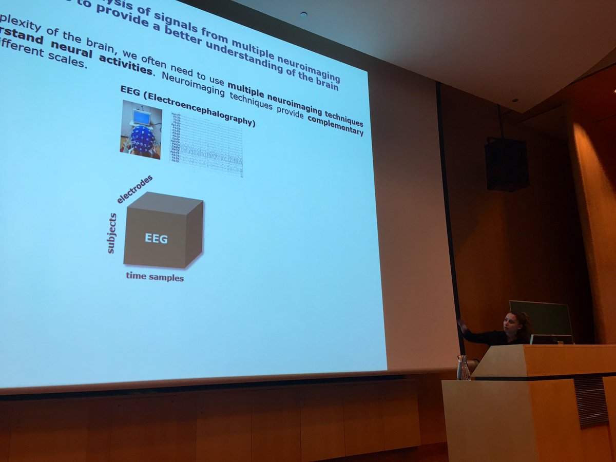 kelkalot's tweet photo. Evrim Acar on “Unraveling Biomarkers through Multi-Modal Data Fusion” at #ISMICT2019 #IEEE #SimulaMet #OsloMetAILab https://t.co/drGZQslFHF
