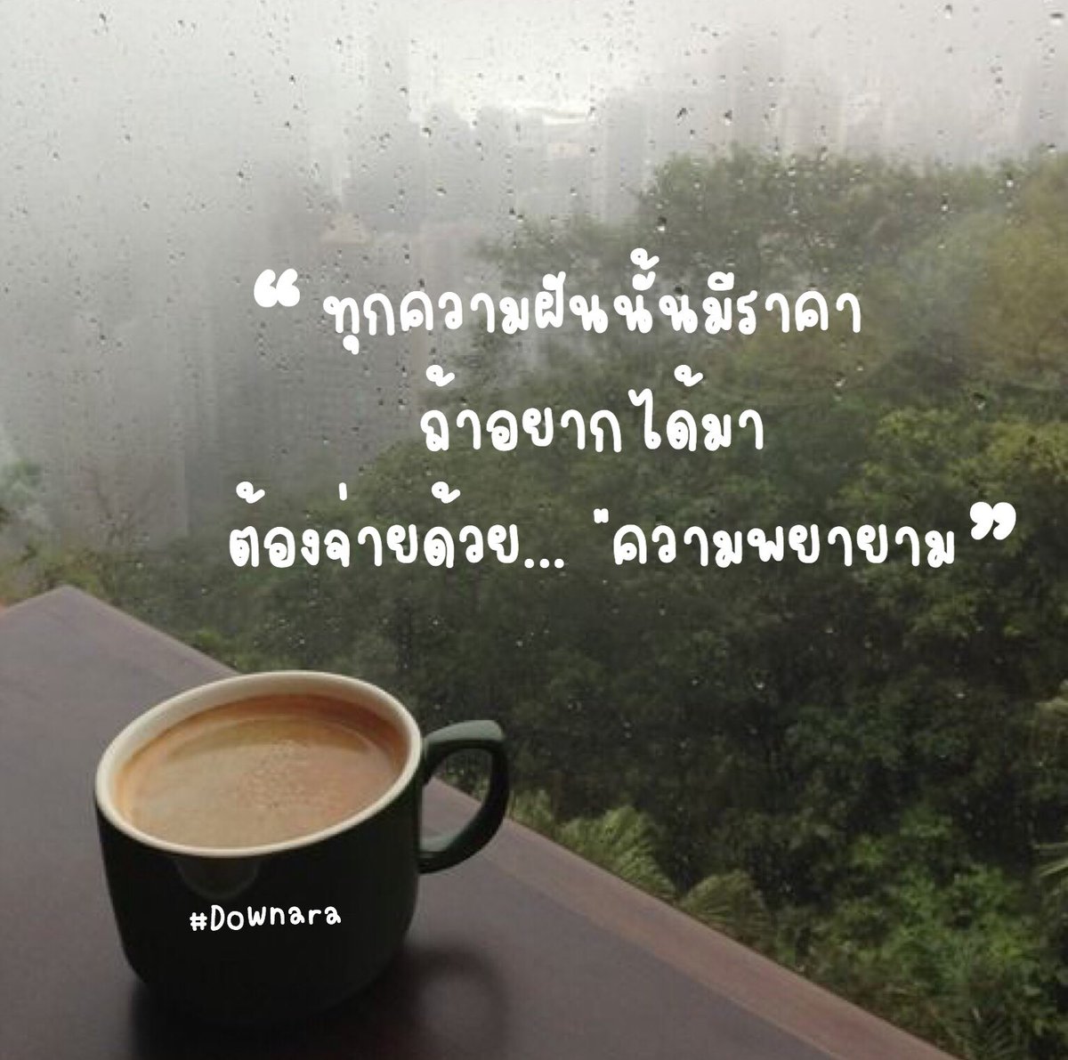 mayly.reviewka tweet media