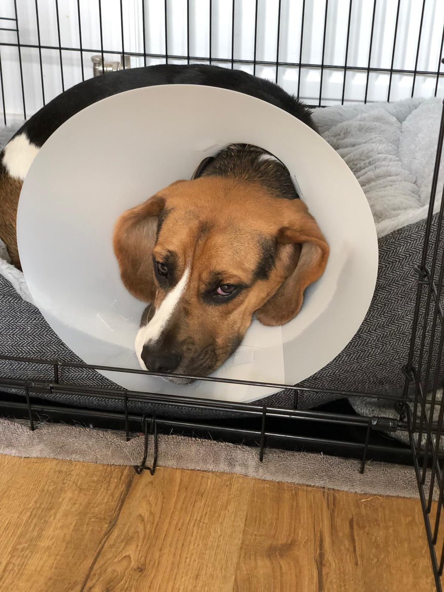 Can you believe this shit!!