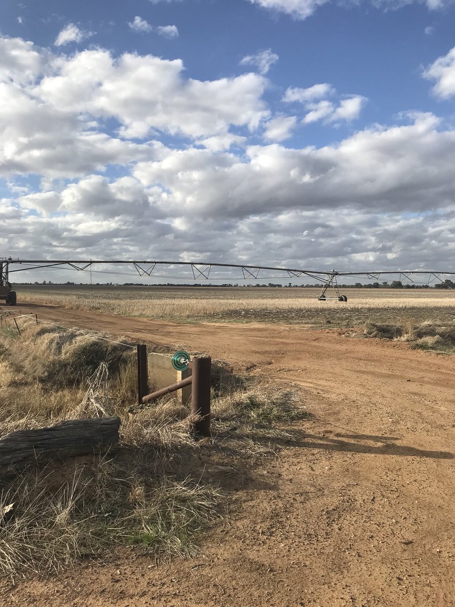 BestRJ68's tweet photo. Could certainly do with  the rain thats forecast out at Yarrawonga #aussiefarmers @ConorNoonanANZ @NCarkeek @sparkscccc https://t.co/lzzldgw2pl
