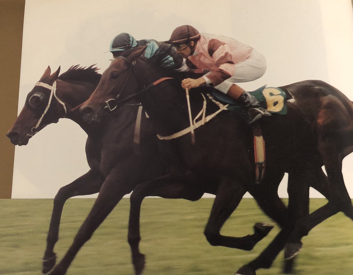 huskissonharry's tweet photo. Exacta and what race? https://t.co/vefuP74zP7