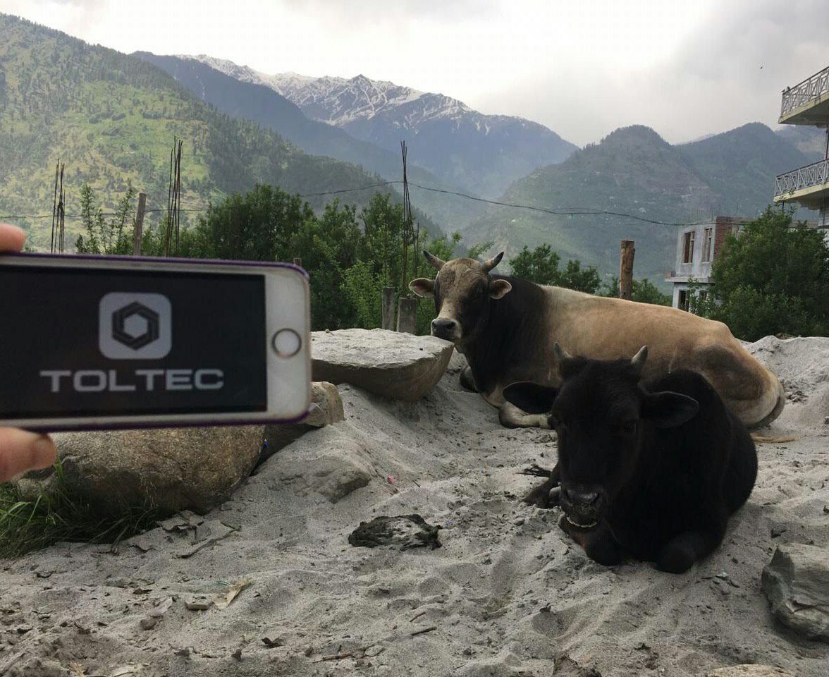 TOLTEC_Capital's tweet photo. Join the flashmob company photo can be downloaded on the web site and get 300 tokens💪
#travel #bitcoin #trading #posmining #china #toltec #finance #london #Beijing #Guangzhou #Italy #Poland #USA #Germany #France #Finland #Lietueva #Danmark #Malta #Cannada https://t.co/Iuds5nV70r