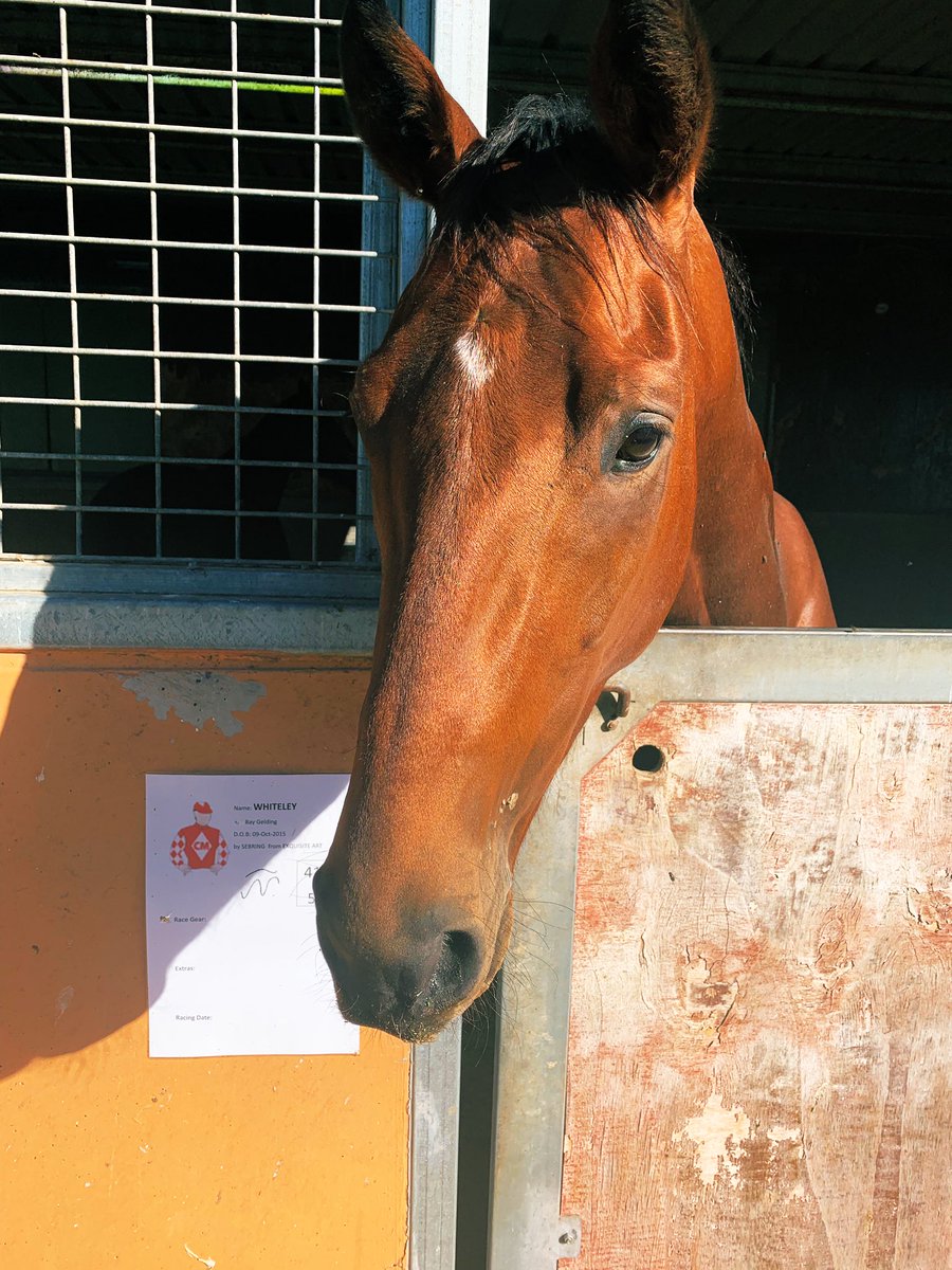 J_Walter23's tweet photo. All roads lead to Scone tomorrow #Whiteley #CupDay https://t.co/kwQgwYZUJR