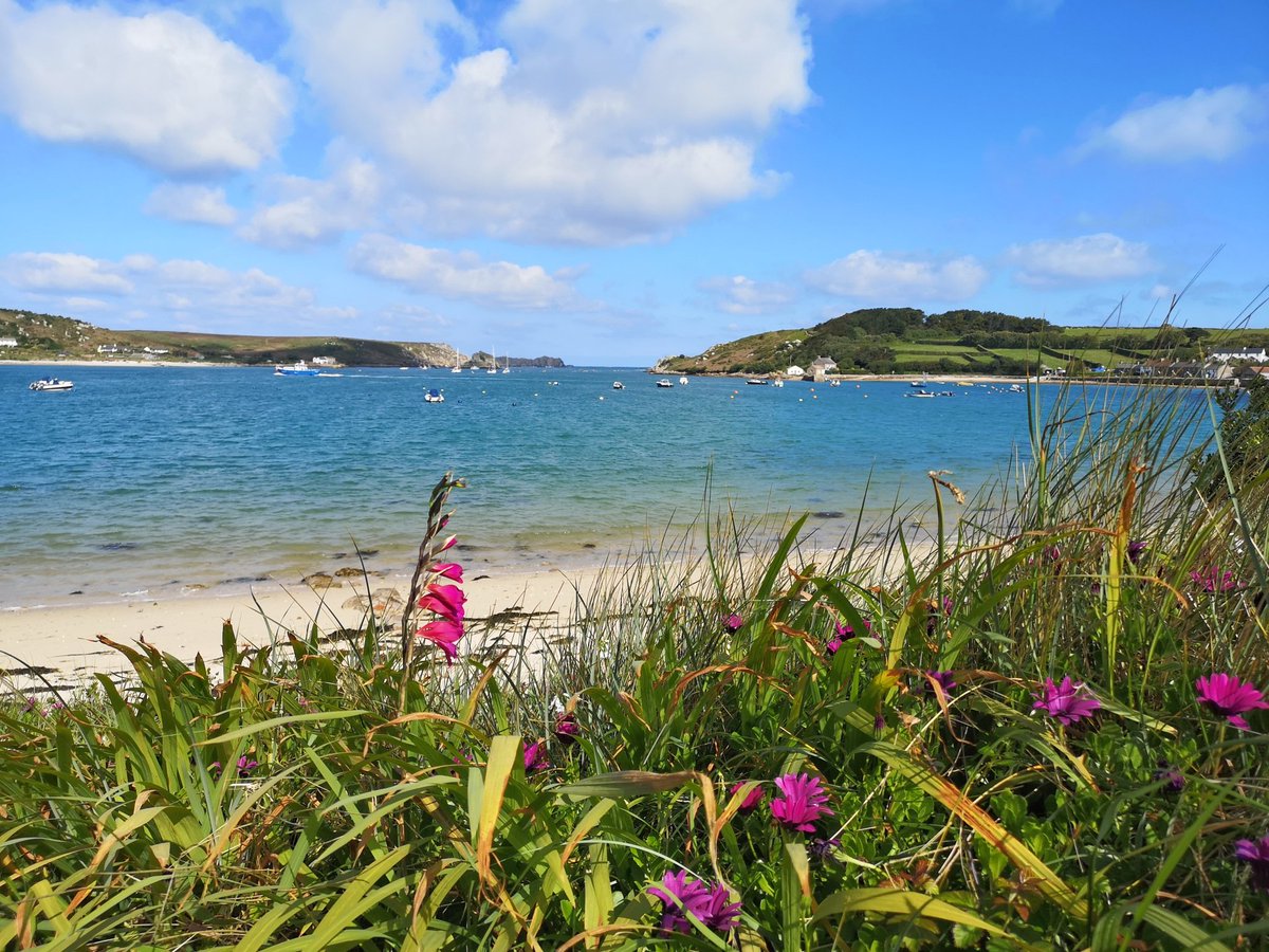 TrescoIsland's tweet photo. Tresco this morning - stunning colours &amp; beautiful blooms 🌸

Retweet if you'd rather be here 🌊

#mytresco https://t.co/uJoe8NiJ9X