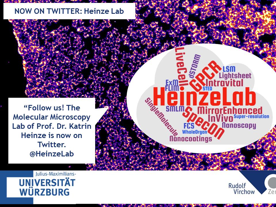 The Heinze Lab: Molecular Microscopy at the RVZ (@heinzelab) on Twitter photo Hello everyone! We, the Heinze Lab at RVZ, University of Würzburg, are finally on Twitter! As microscopy enthusiasts we 🔬 from 🦠 to 🧠 #myfirstTweet #HelloWorld #Microscopy @RVZ_Wuerzburg <a href="/Uni_WUE/">Universität Würzburg #UniWürzburg</a> Hello everyone! We, the Heinze Lab at RVZ, University of Würzburg, are finally on Twitter! As microscopy enthusiasts we 🔬 from 🦠 to 🧠 #myfirstTweet #HelloWorld #Microscopy @RVZ_Wuerzburg <a href="/Uni_WUE/">Universität Würzburg #UniWürzburg</a>