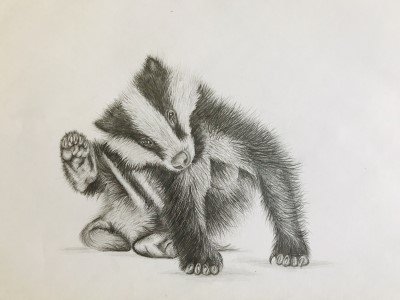 LEHSchool's tweet photo. Congratulations to Catherine (LIV) and Grace (UIV) who were both winners in the #BadgerBoy Competition. Their artwork was selected by @ChrisGPackham to be published in a wildlife crime novel, A Badger's Tale, by @ArtGeoffFrancis https://t.co/uRZ7ieNXlx #LEHSchool #LEHArt https://t.co/AZPHgElHPY