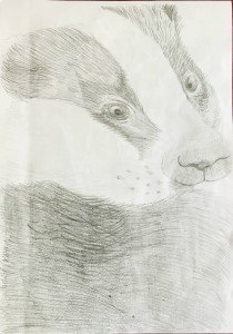 LEHSchool's tweet photo. Congratulations to Catherine (LIV) and Grace (UIV) who were both winners in the #BadgerBoy Competition. Their artwork was selected by @ChrisGPackham to be published in a wildlife crime novel, A Badger's Tale, by @ArtGeoffFrancis https://t.co/uRZ7ieNXlx #LEHSchool #LEHArt https://t.co/AZPHgElHPY