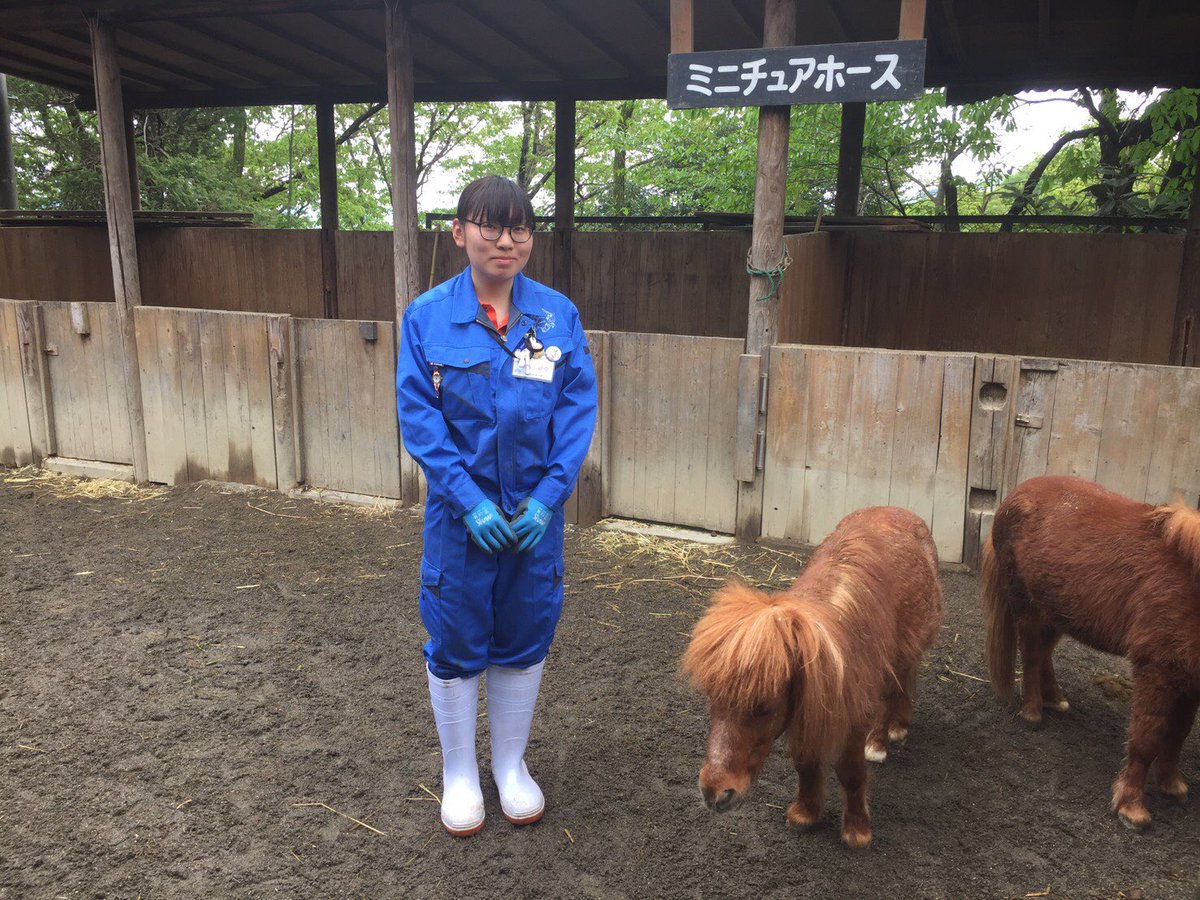 埼玉動物海洋専門学校 Gwインターン実習vol 3 3 群馬サファリパーク での実習の様子です 動物に合わせた飼育管理方法 展示など多くのを学んでいました 群馬サファリパーク 埼玉動物海洋専門学校 埼玉動物海洋専門学校 Gwインターン実習vol 3 3 群馬サファリパーク での実習の様子です 動物に合わせた飼育管理方法 展示など多くのを学んでいました 群馬サファリパーク 埼玉動物海洋専門学校
