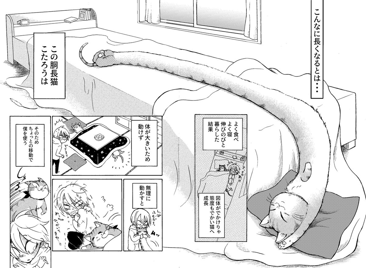 【コミティア128 既刊】
「春まきマフラー猫」60p 500円
胴が長くなってマフラーになった猫と引きこもり少年の話です?
こちらで通販もしてます→
#コミティア128…