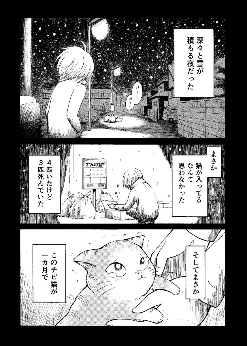 【コミティア128 既刊】

「春まきマフラー猫」60p 500円

胴が長くなってマフラーになった猫と引きこもり少年の話です?
こちらで通販もしてます→ 

#コミティア128… 