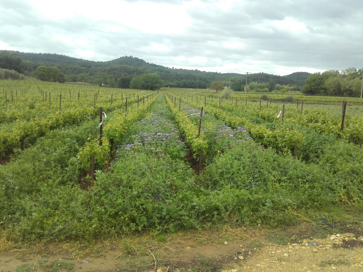 C’est chez Mathieu et ça me fait tellement plaisir de voir ça. C’est encourageant. The farming revolution is everywhere ;).